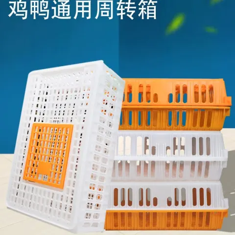 Product #180
