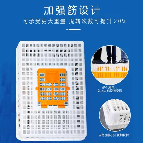 Product #180