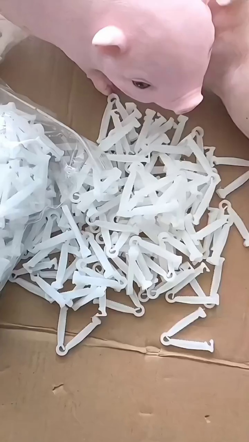 TikVideo.App_7223260441550556468