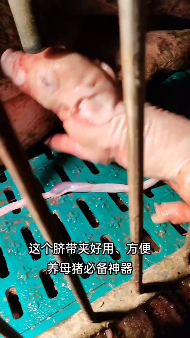 TikVideo.App_7232104490642509067
