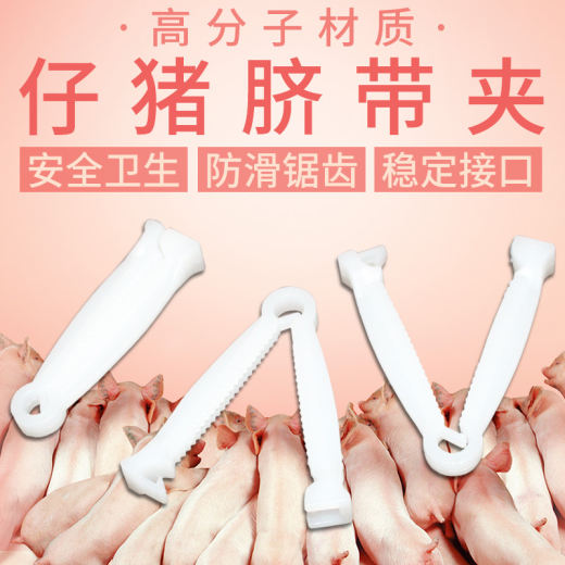5直通车 (5)
