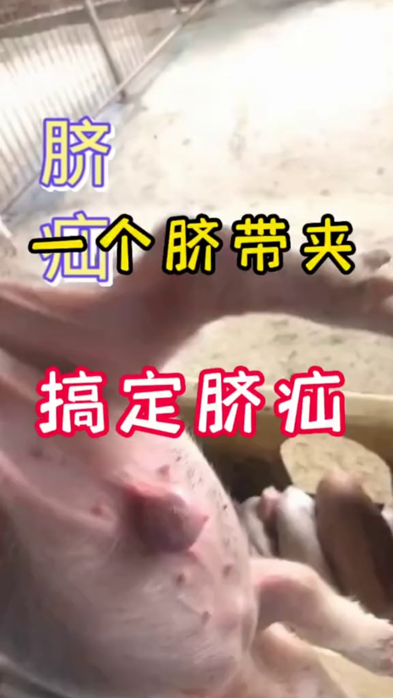 TikVideo.App_7203360244792069413