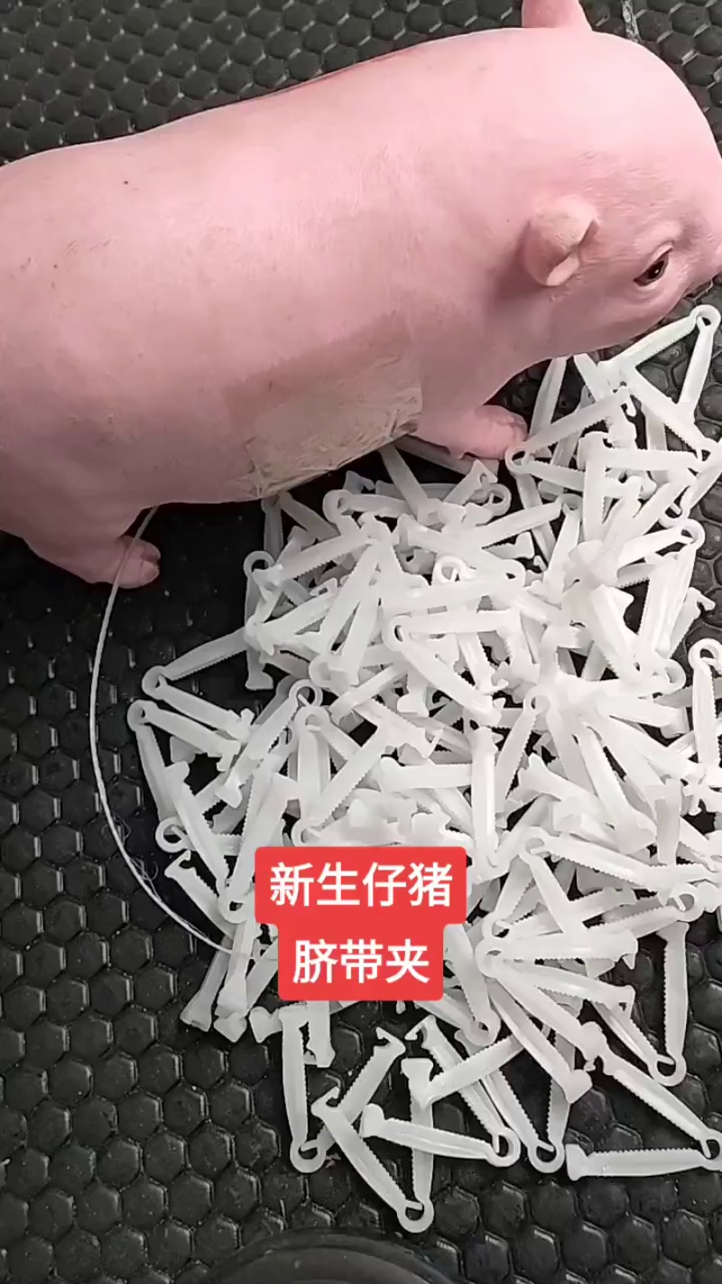 TikVideo.App_7225069985557744956