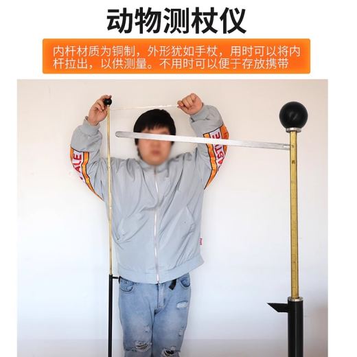 主图_2