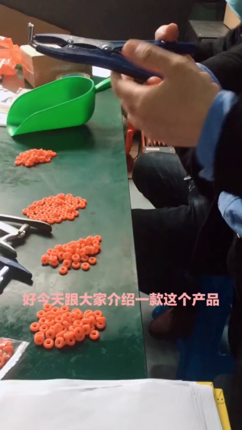 TikVideo.App_6802030758048353547