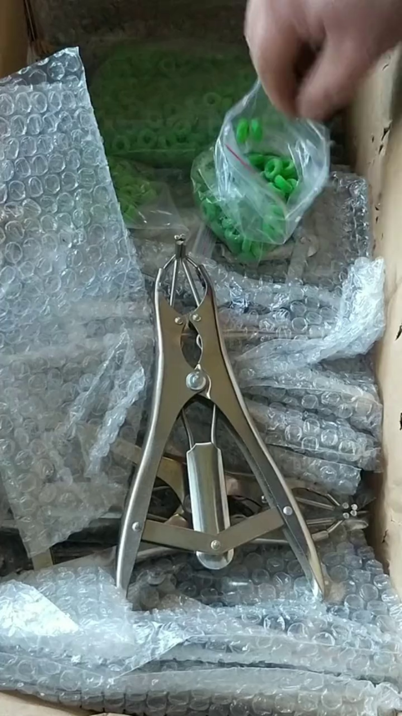 TikVideo.App_7078530640232090918