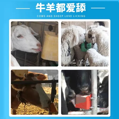 PC端_主图_4