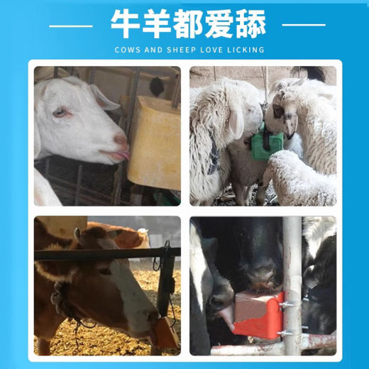 PC端_主图_4