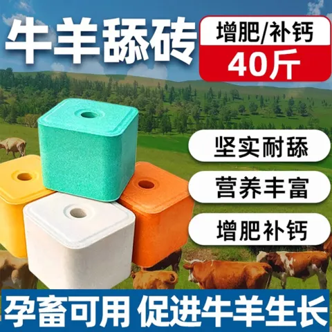 PC端_主图_1
