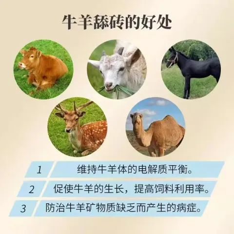 PC端_主图_3