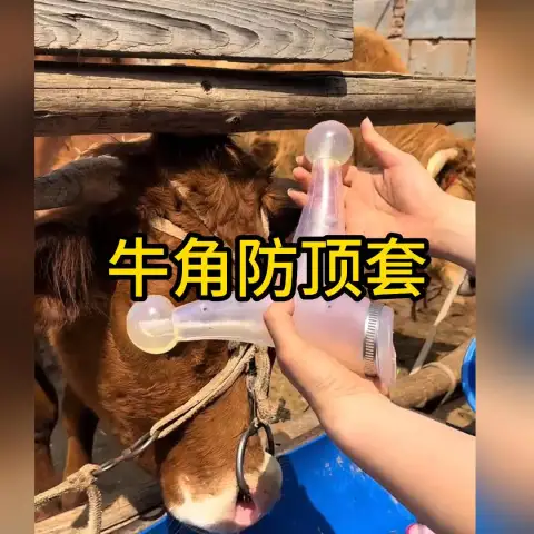 Schutzausrüstung für Bullhorn