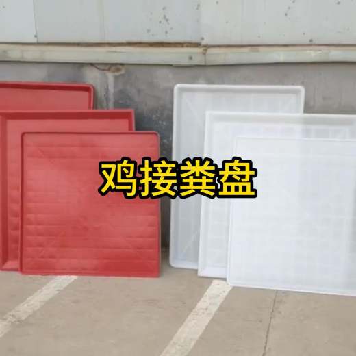 鸡接粪盘11-封面
