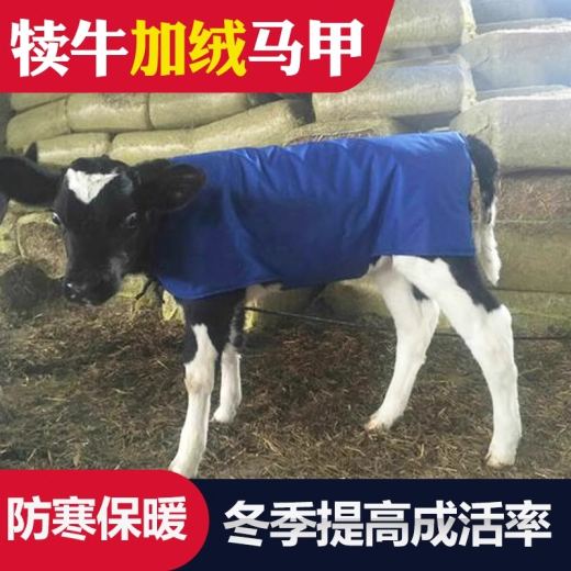 主图_2