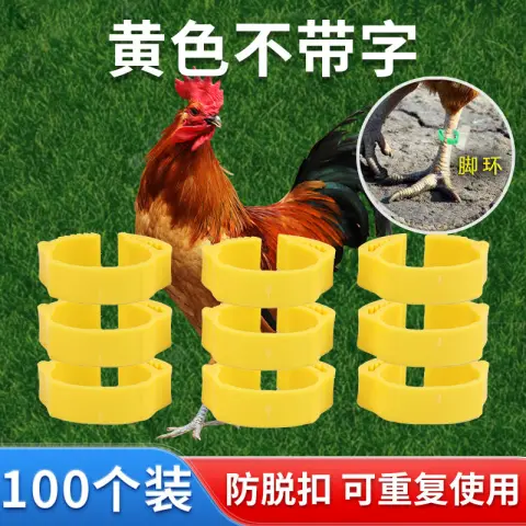 Product #740