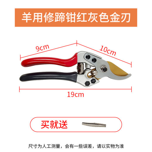 SKU_3_羊用修蹄钳红灰色金刃