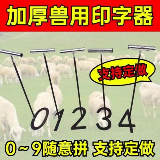 主图_1