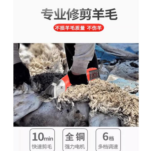 未标题-3