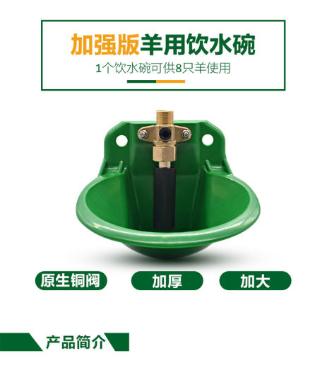 羊水碗 (1)