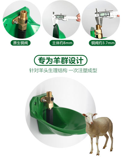 羊水碗 (3)