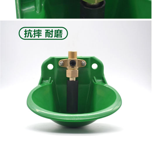 羊水碗 (5)