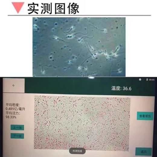 主图_4