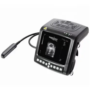 Scout KX5200