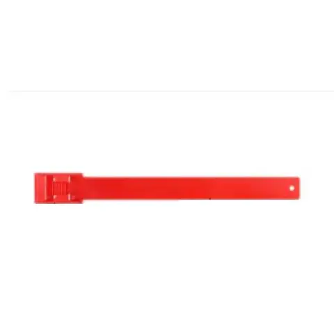 기호 벨트와 함께