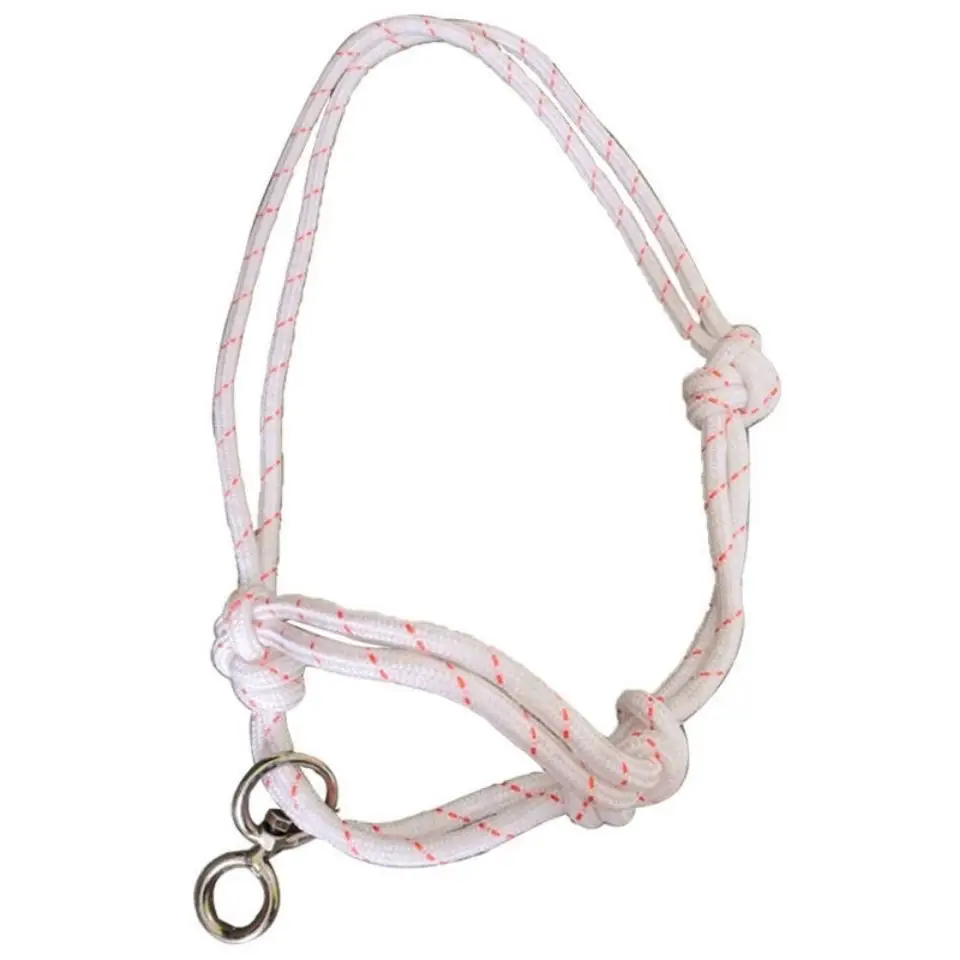 Product #552
