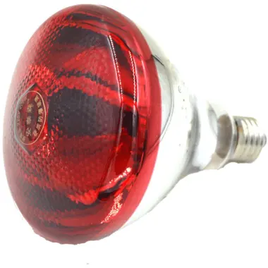 Heat Lamp Bulb