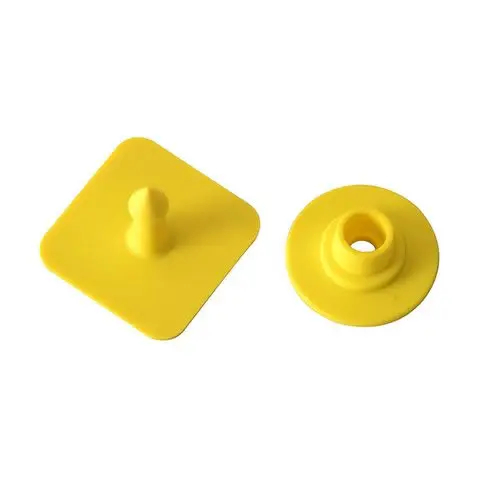 Ear tag persegi