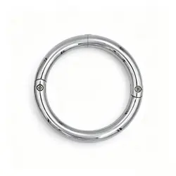 The carbon steel cow nose ring.