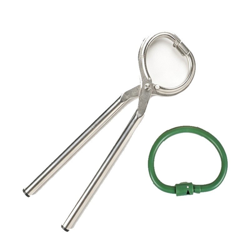 The stainless steel oxen nose ring is fitted with a cow-cracker nose ring piercing a cow's nostrils trap.