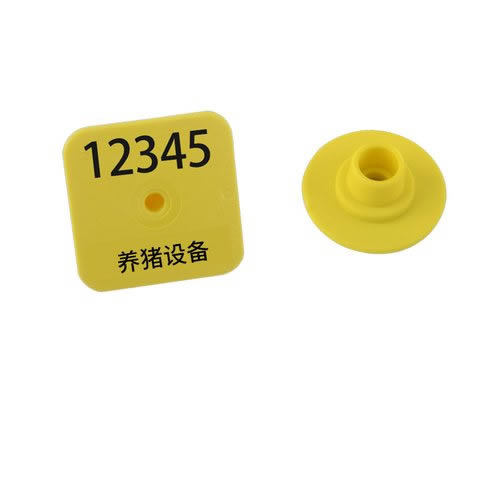 100 punti auricolari quadrati con caratteri gialli/pacchetti