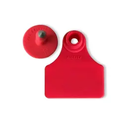 Ear tag Anlefu Anléphor kembali - tidak ada kata-kata.