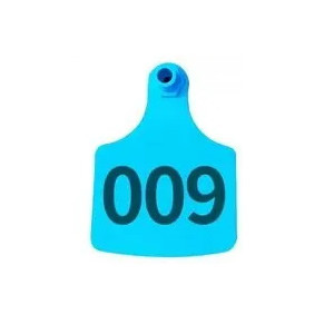Cattle Ear Tag · 07921