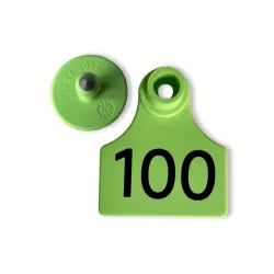 Ear tag standar Tanda telinga normal - 100 kata / paket dalam warna hijau
