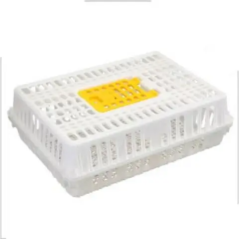 Product #180 Thịt gà - 97 kg bạch quanbao