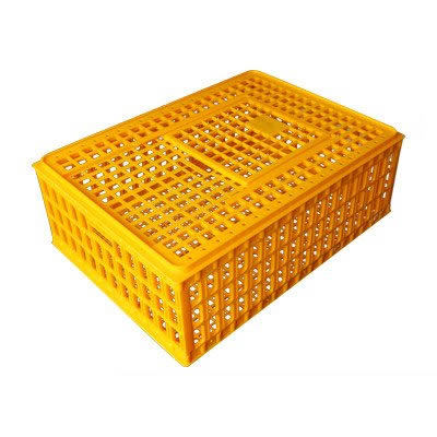 Chicken Roofbox - 11-cracket cage 27 high yellow