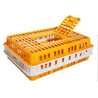Ayam kotak - 10,5 pon kandang Poo Zhuong kuning dan putih