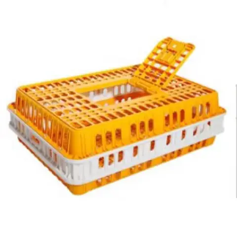 Product #180 Gà mái - 10,5 pound vàng và trắng lồng Chung Poo