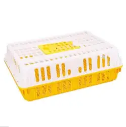 Chicken Roofbox - 9.7 pounds yellow and white bouquet thicker