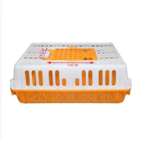 Product #180 Gà mái, tám pound trắng và dày.