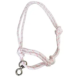 التهاب Cowline - 14 mm cortex