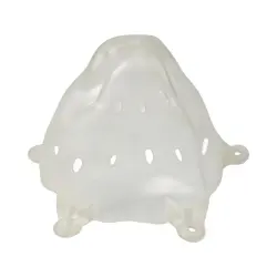 One of the calf's bras.