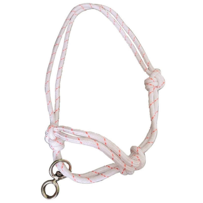 Cattle Halter · 5522