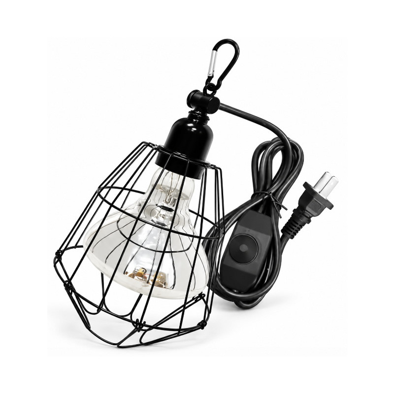 Pet + 100 Watt Glühbirnen 2