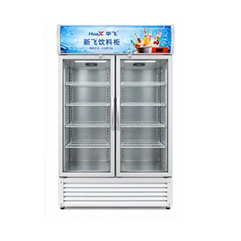 Frigorifero a temperatura costante 680 L Xinfei frigorifero a doppia porta a temperatura costante