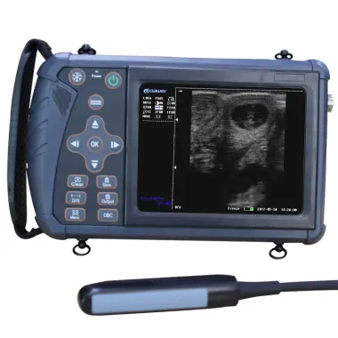 SuperB - Large rectal probe S1