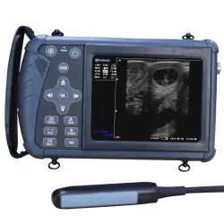Échographe Vétérinaire SuperB - Grande sonde rectale S1