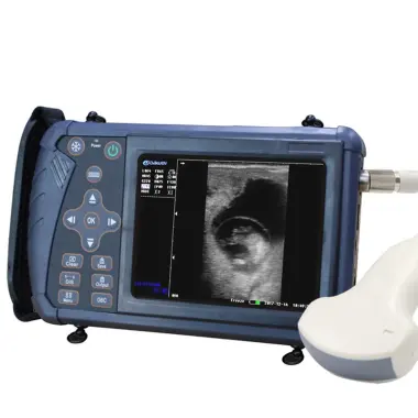 Superb B -- Large electronic probe S1